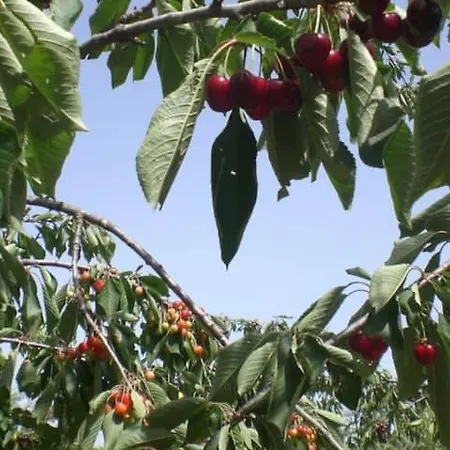 Pugliaholidayplus - Cassano Villa