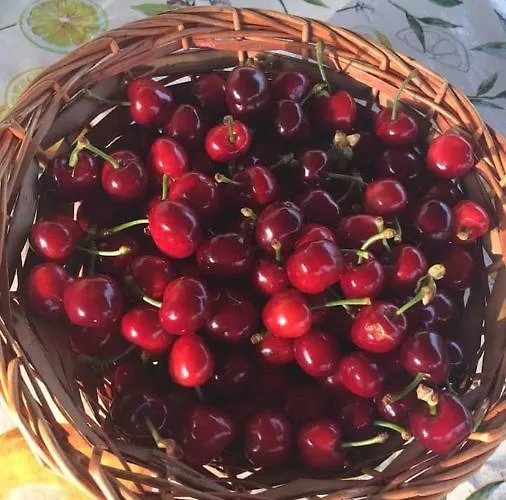 Pugliaholidayplus - Cassano *